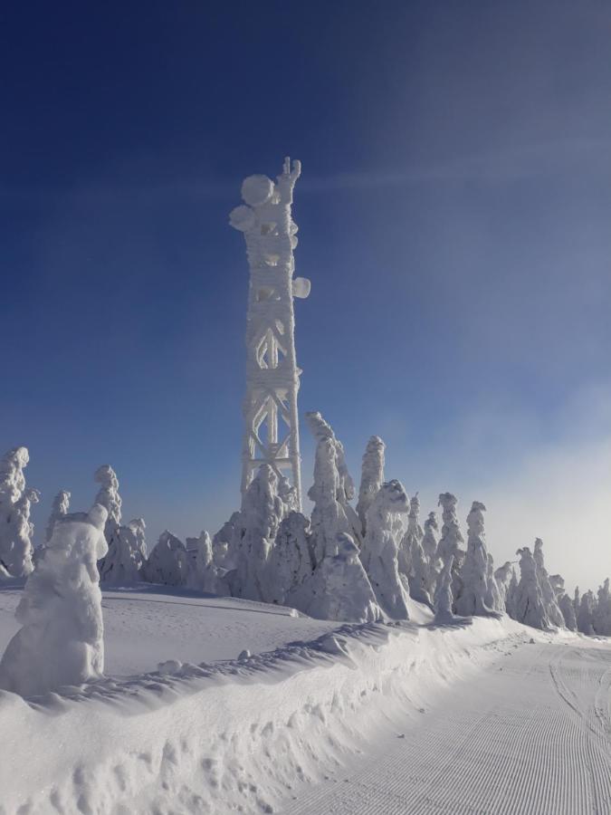 Chata Stred Kubínska hoľa Dolny Kubin Exterior foto