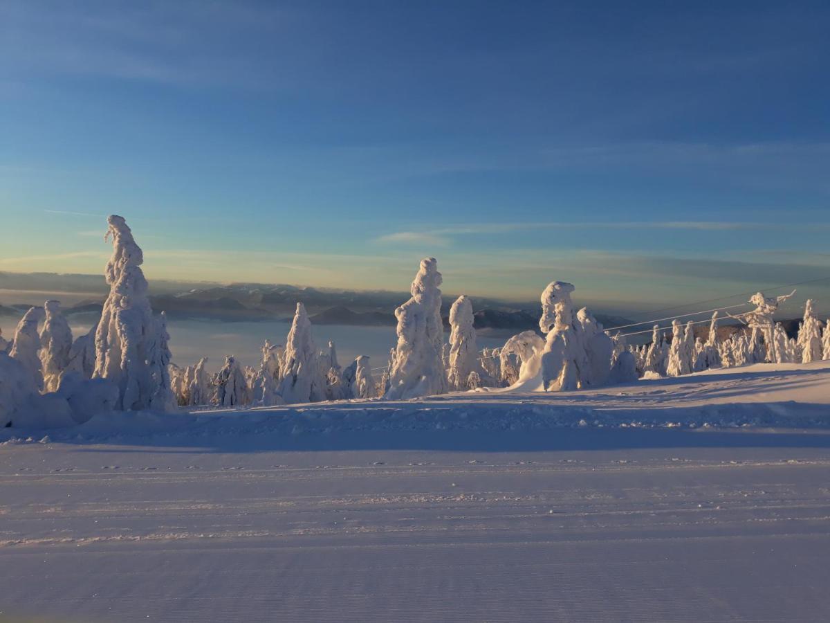 Chata Stred Kubínska hoľa Dolny Kubin Exterior foto